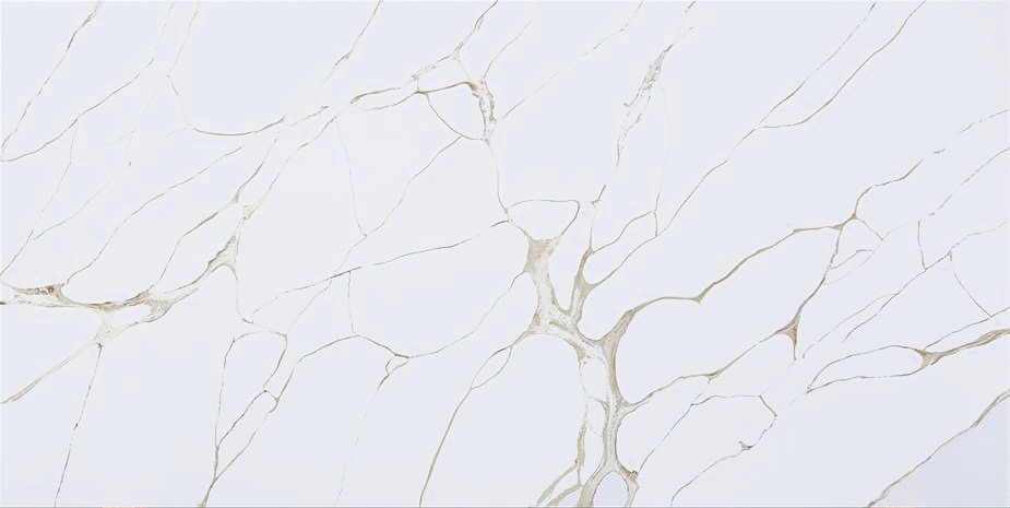 Calacatta Gold — Elewacje i ogrody