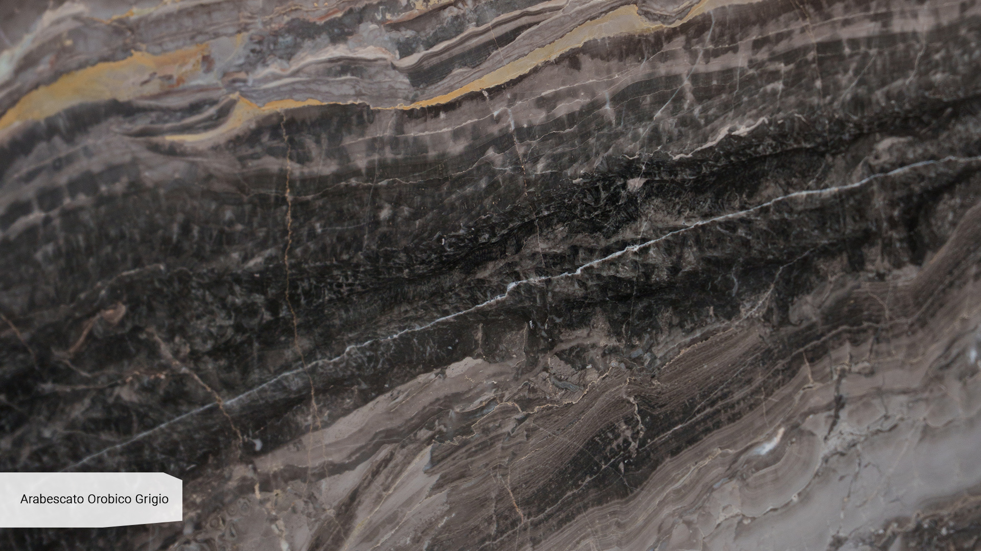 Arabescato Orobico Grigio — wzór kamienia