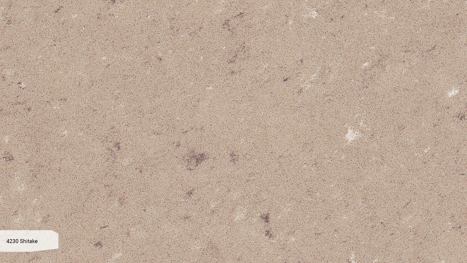 4230 Shitake — stoły i meble Biała Podlaska